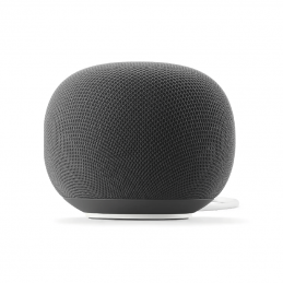Google Home Speaker Handicap