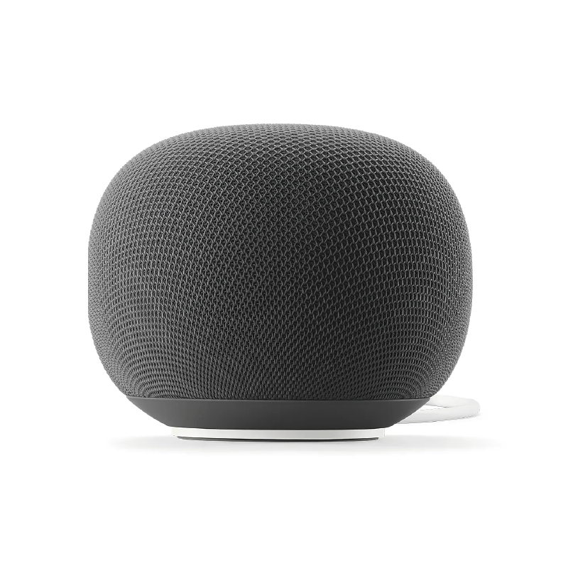 Google Home Speaker Handicap